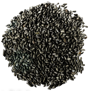 Sesame Seeds 