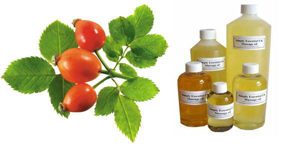 Natural Rosehip Oil for Sale 