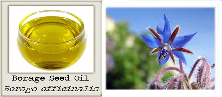 Natural Borage Seed Oil Uses